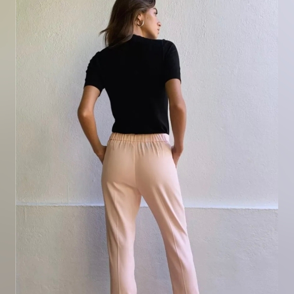 Babaton Aritzia | Cohen Pants in blush pink, size 6 - Picture 2 of 10